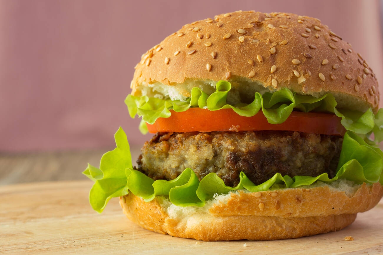 zingar burger order online