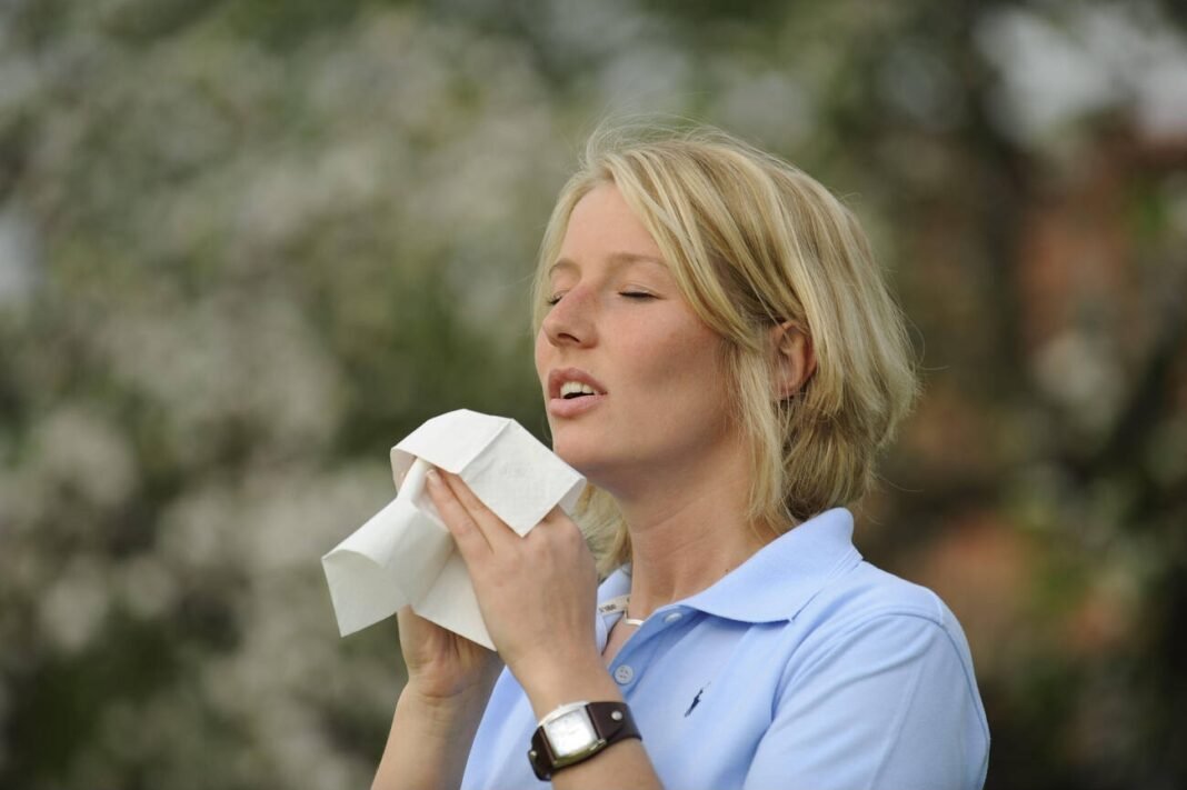 Seasonal Allergy Sufferers