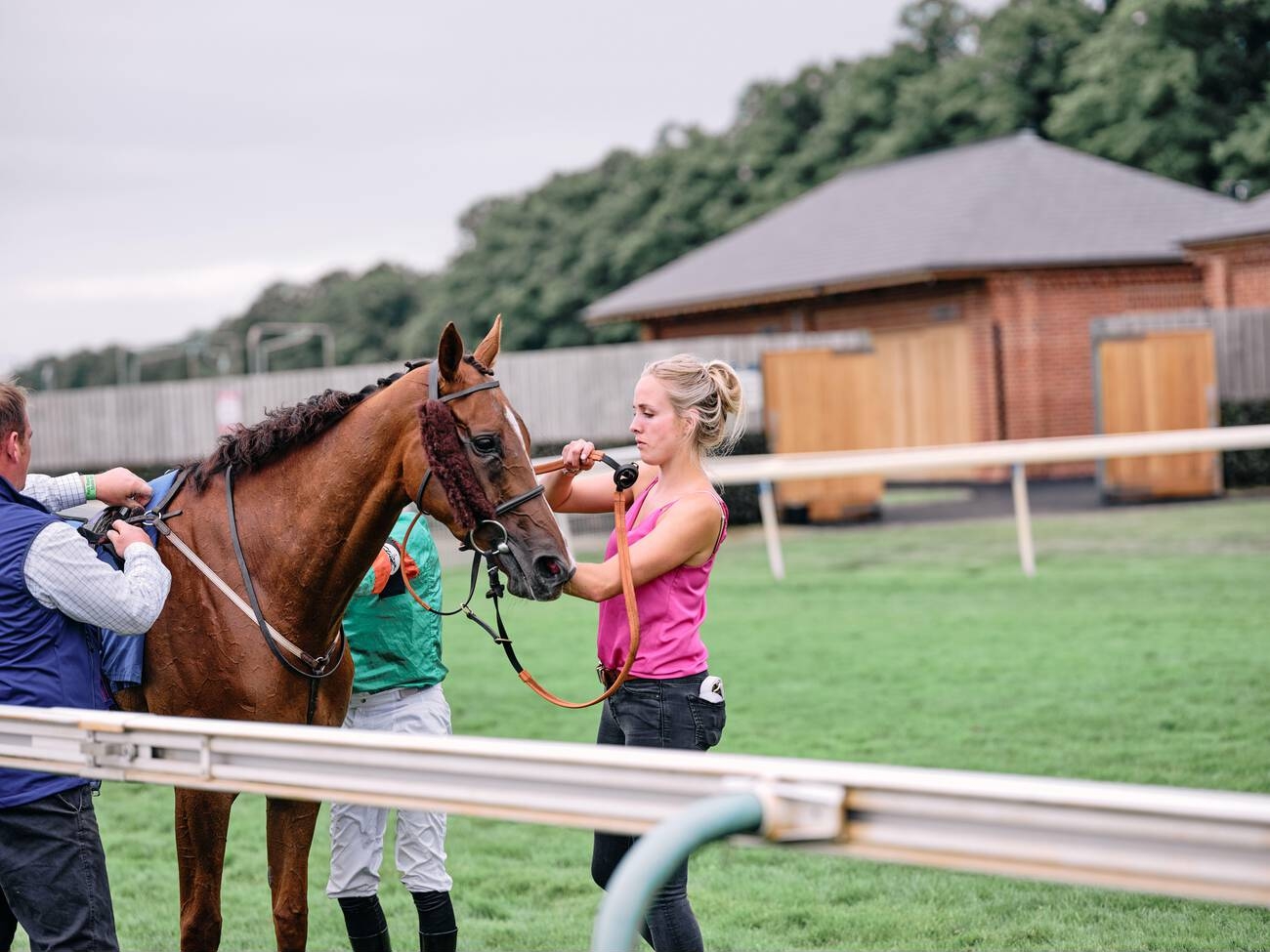 horse and groom