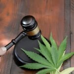 The Role of Recreational Marijuana in Wellness and Self-Care