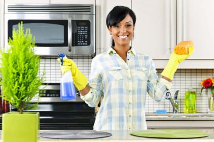 Best Home Cleaners Near Chicago, Illinois