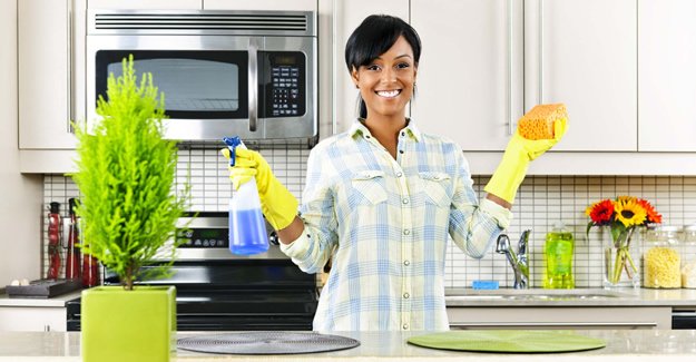 Best Home Cleaners Near Chicago, Illinois